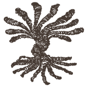 Rawroots logo