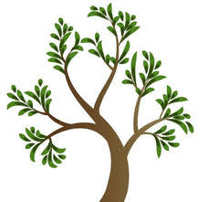MiVeda logo