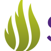 Swerdna Services Limited logo
