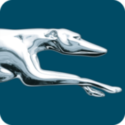 Greyhound Bus logo