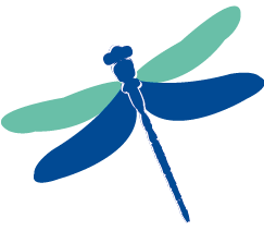 de Smit Medical Systems logo