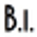 brewinternational.com logo