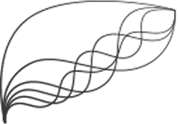 The Liver Clinic Ltd logo
