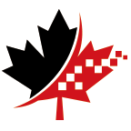 StormWeb logo