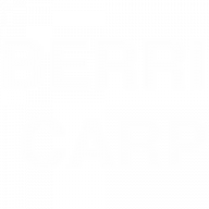 Berriman Carpets logo