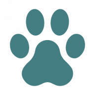 WildWash logo