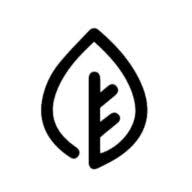 The Little Eco Company logo