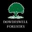 DowdeswellForestryServices logo