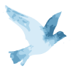 Healing Haven logo