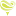 Tlcdental logo