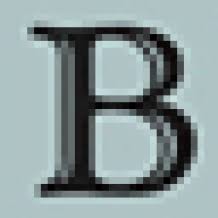 Wm.Boyle logo