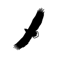 WildScot Photography logo