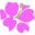 AvasFlowers logo