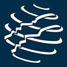 Image Group International logo