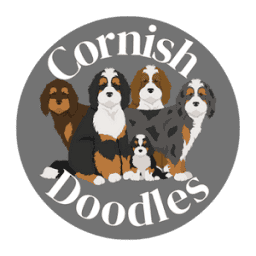 Cornish Doodles logo