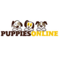 yorkiepuppy4homes.com logo