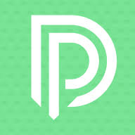 Driving Performance Golf Ltd logo