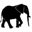 Edward Selfe Photo Safaris logo