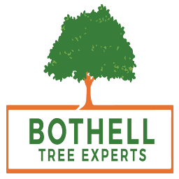 Bothell Tree Experts logo