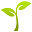 Adeniumstore logo