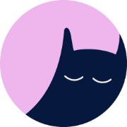 Sleep N-fly logo