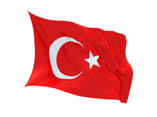 Turkish Translators logo