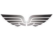 flyingraphics.com logo