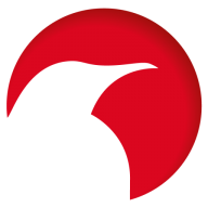Busted Networks logo