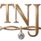 Thenamejewellery logo