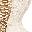 Wedding Wise logo