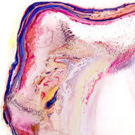 Milena Makani | Contemporary Art logo