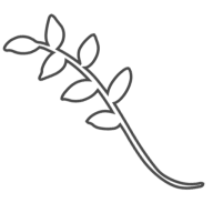 Inkspirecalligraphy logo