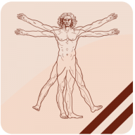 Vinci Hair Clinic logo