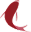 Koisea logo
