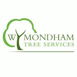 Wymondham Tree Services logo