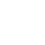 Platinewatch logo