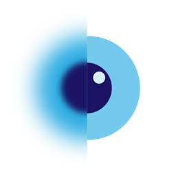 Doctor Tint logo