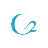 C2 Aesthetics logo