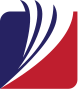 GNS Associates logo
