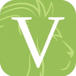 Virtue Heating and Plumbing logo