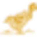 Psychic Medium Boutique Mystic Insights logo
