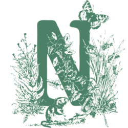 Naturescape logo