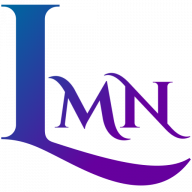 LMN Accounting logo