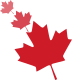 certifiedturkish logo