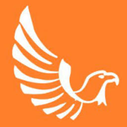 Whiteeaglerepair logo