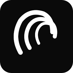 Blueberry Studios logo