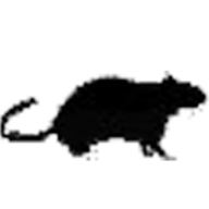 City Pest Solutions logo