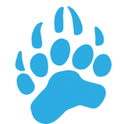 Data Bear logo