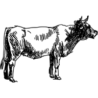 thornersofsomerset.co.uk logo
