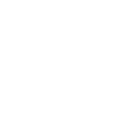 Icemanservices logo